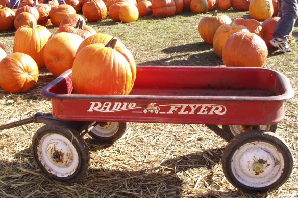 Didier Farms, Lincolnshire, IL