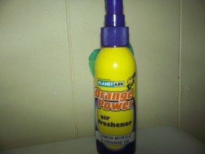 everyone has a can of this on their toilet!