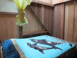 La Casa de Cecilia, Mindo, Ecuador; February 24-26, 2014