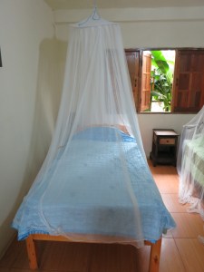 Elephant Nature Park, north of Chiang Mai, Thailand; February 25-March 2, 2013