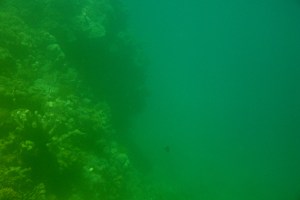 This sort of shows how sudden and steep the drop-off was.