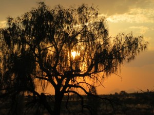 You can see the silhouette of Kata Tjuta to the right