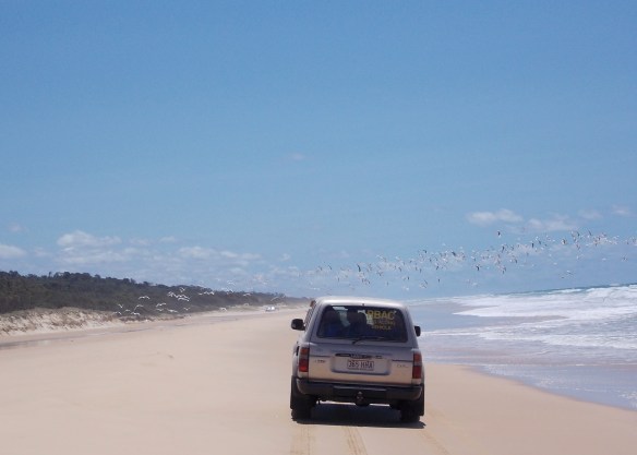 Fraser Island 4WDing