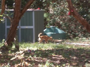 No babies were harmed in the taking of this photo.