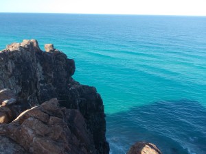 My photos don't show all the sea turtles and dolphins we saw.