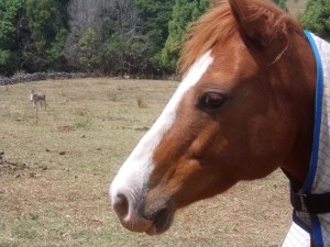 I think this one was Handsome Phil