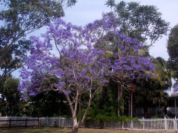 Byron Bay, Australia; October 2012