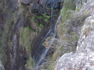 Trickle of Minyon Falls