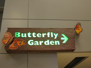 It was dark and all the butterflies were asleep, so no pictures of them.