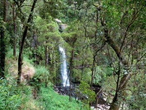 erskine falls gor