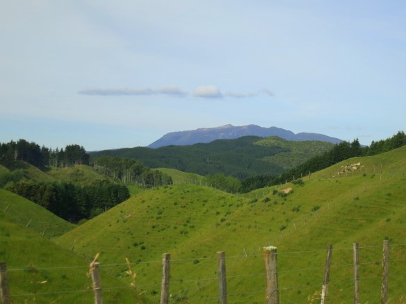 The Waikato countryside in New Zealand