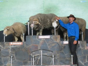 Putting them up on a pedestal