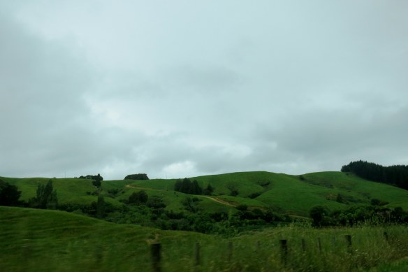 The green hills of the central North Island