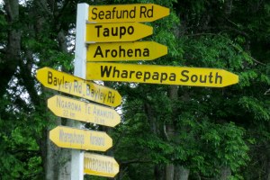 Putting a lot of signs all at once doesn't make up for the lack of signage in a thirty-kilometer radius, NZ.