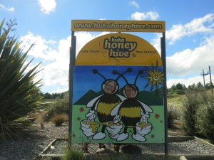 Bzzzt travel buddies! (Apologies)