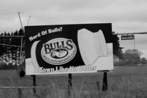 The town of Bulls delivered pun after pun as we drove through it. I also liked the "Afford-a-Bulls" $2 shop.