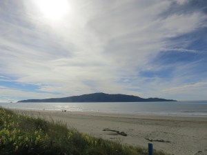 Kapiti Island off the coast