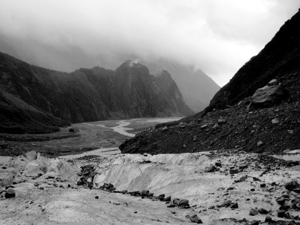Looking out to the river from Fox Glacier