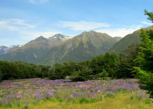 Dennis Moore's dream field (Monty Python joke)