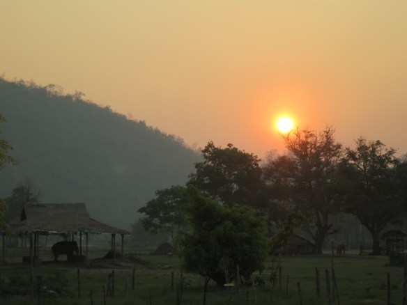 Sunrise, Elephant Nature Park, Thailand