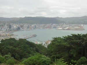 View from Mount Vic
