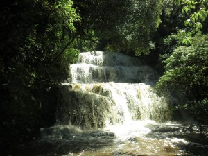 Purakaunui Falls