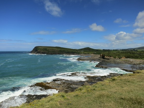 Curio Bay in the Catlins