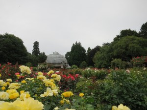 Central Rose Garden