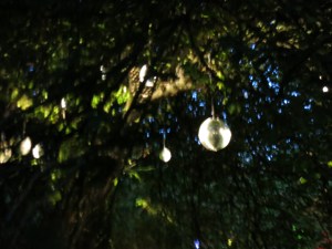 Blurry disco scene--is there any other kind?