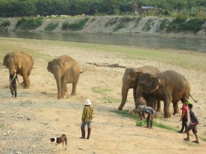 Founder Lek is the woman in the center of the photo