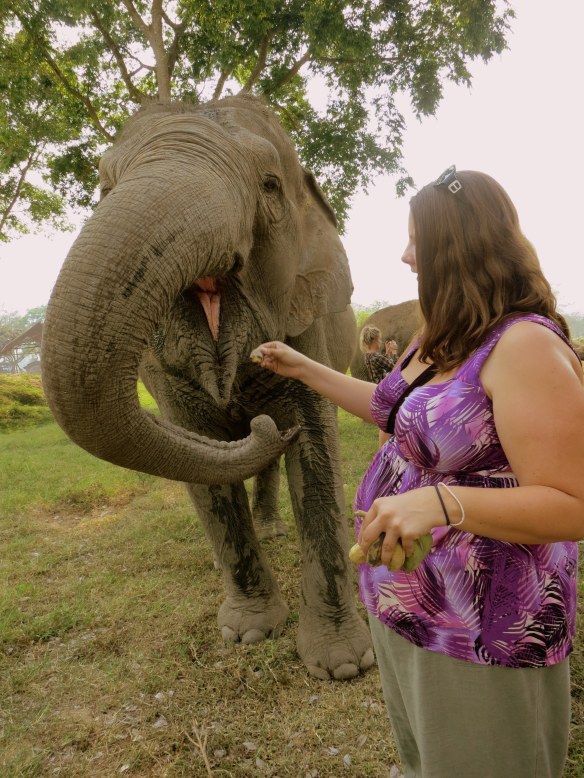 Elephant Nature Park, Thailand