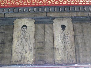 Medical diagrams at Wat Pho