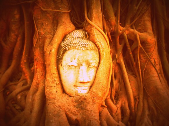 I think he looks downright cozy