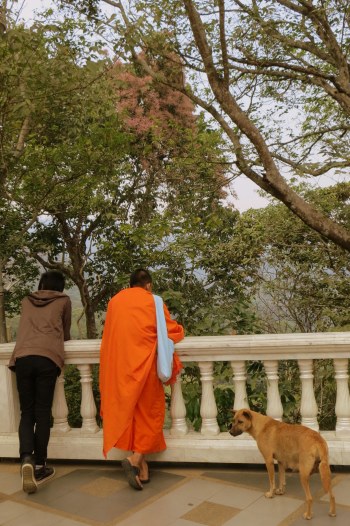 A teenage novice and his friend have a chat