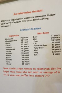 Lots of vegetarian paraphernalia at Taste of Heaven