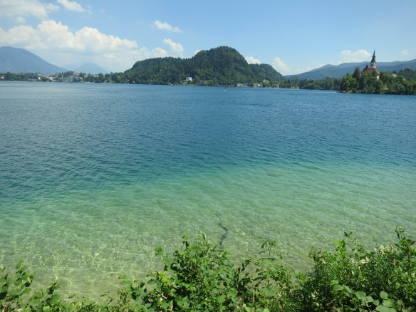 You can't NOT swim in that.