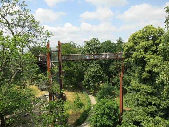 Treetop walk