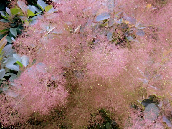 Kew Gardens, London, England; July 10, 2013