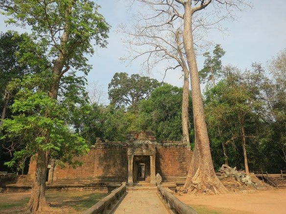 angkor ta prohm