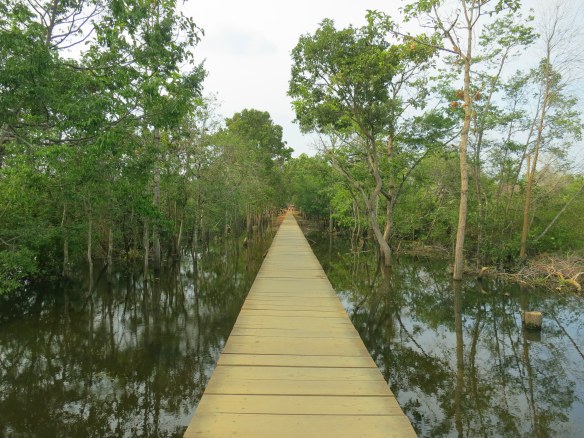 The long path to Neak Pean
