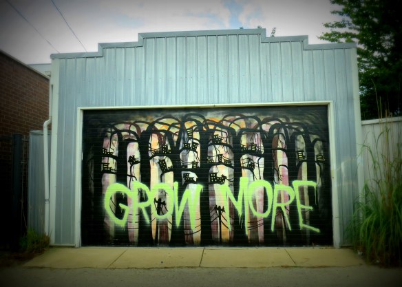 This looks especially cool as the el is coming in from the city at twilight