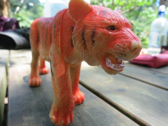 Coromandel Peninsula, New Zealand; December 9, 2012