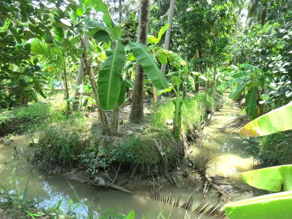 The canals of the Mekong Delta
