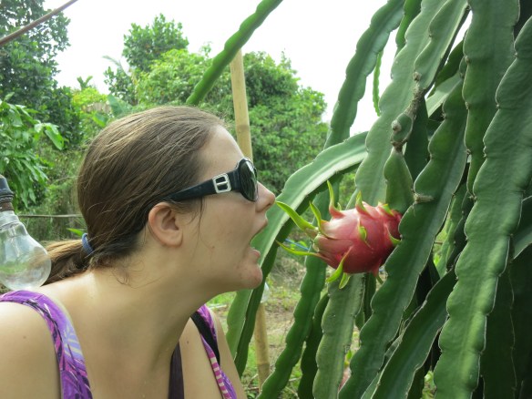 I did not eat that fruit right then