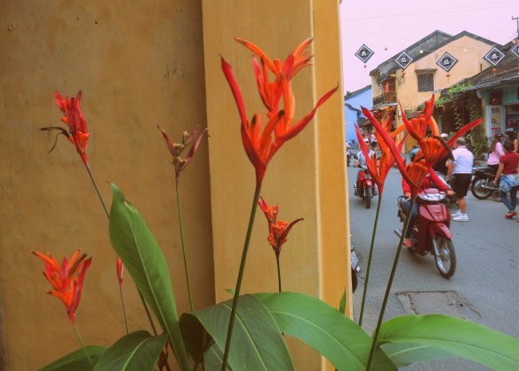 hoi an