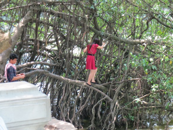 People will do a lot for a good photo