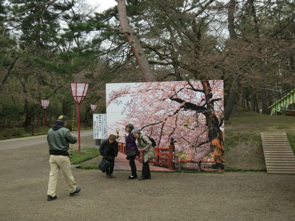 The park provided a couple of backgrounds like this, so you could take your picture with the sakura even if they weren't actually in bloom.