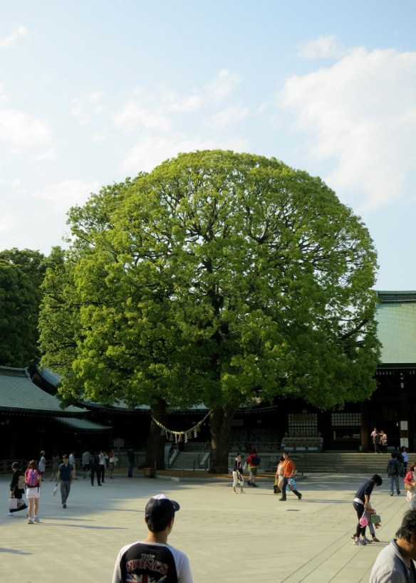 Tree hung with lightning