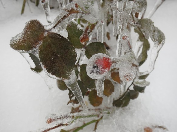 michigan winter christmas ice