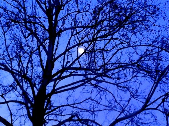 East Lansing, Michigan; November 27, 2013